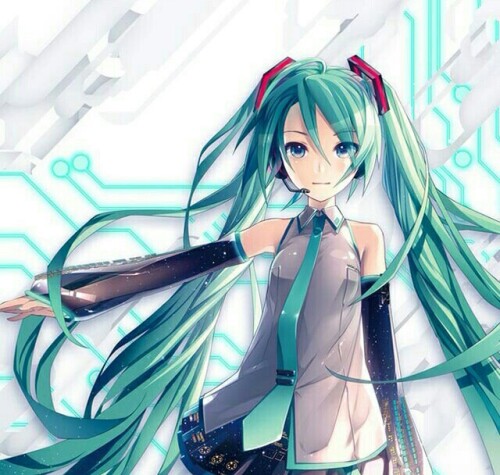 3715801.jpg